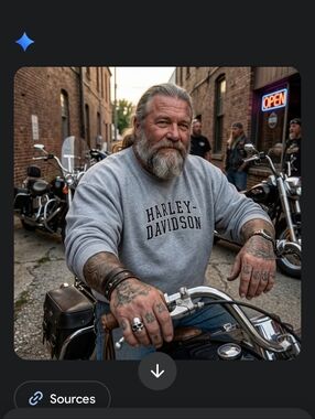 2XL Harley Davidson Grey Sweatshirt Twin Cities Minnesota Lee Heavyweight
